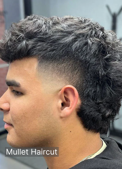 Mullet Haircut