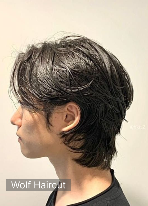 Wolf Haircut