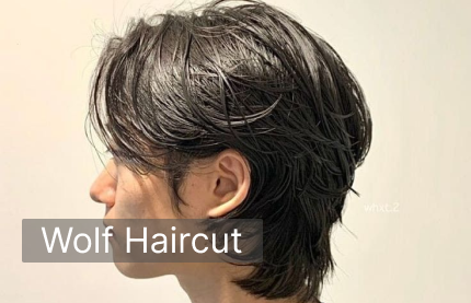 Wolf Haircut
